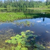 Review photo of Barnwell State Park Campground by Jil S., May 16, 2020