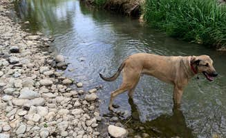 Gordon D.'s photo of camping with pets at Uncompaghre River Resort near Black Canyon of the Gunnison National Park