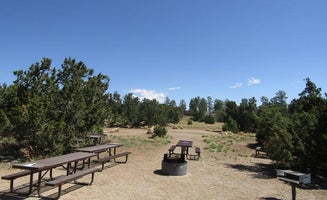 Camper-submitted photo from Juniper Family Campground — Bandelier National Monument