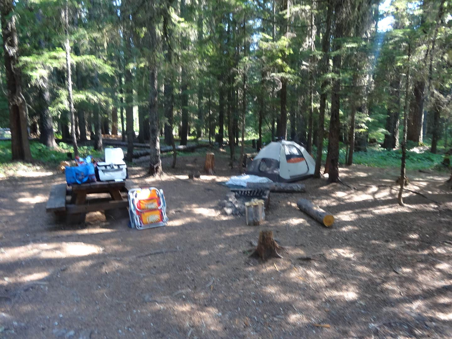 Darin D.'s photo at Little Crater Lake near Mt. Hood National Forest