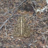 Review photo of Little Crater Lake by Darin D., September 26, 2017