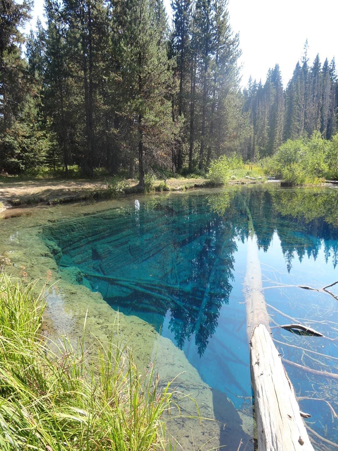 Camper submitted image from Little Crater Lake - 4