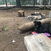 Review photo of Thielsen View Campground by Darin D., September 26, 2017
