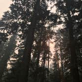 Review photo of Thielsen View Campground by Darin D., September 26, 2017