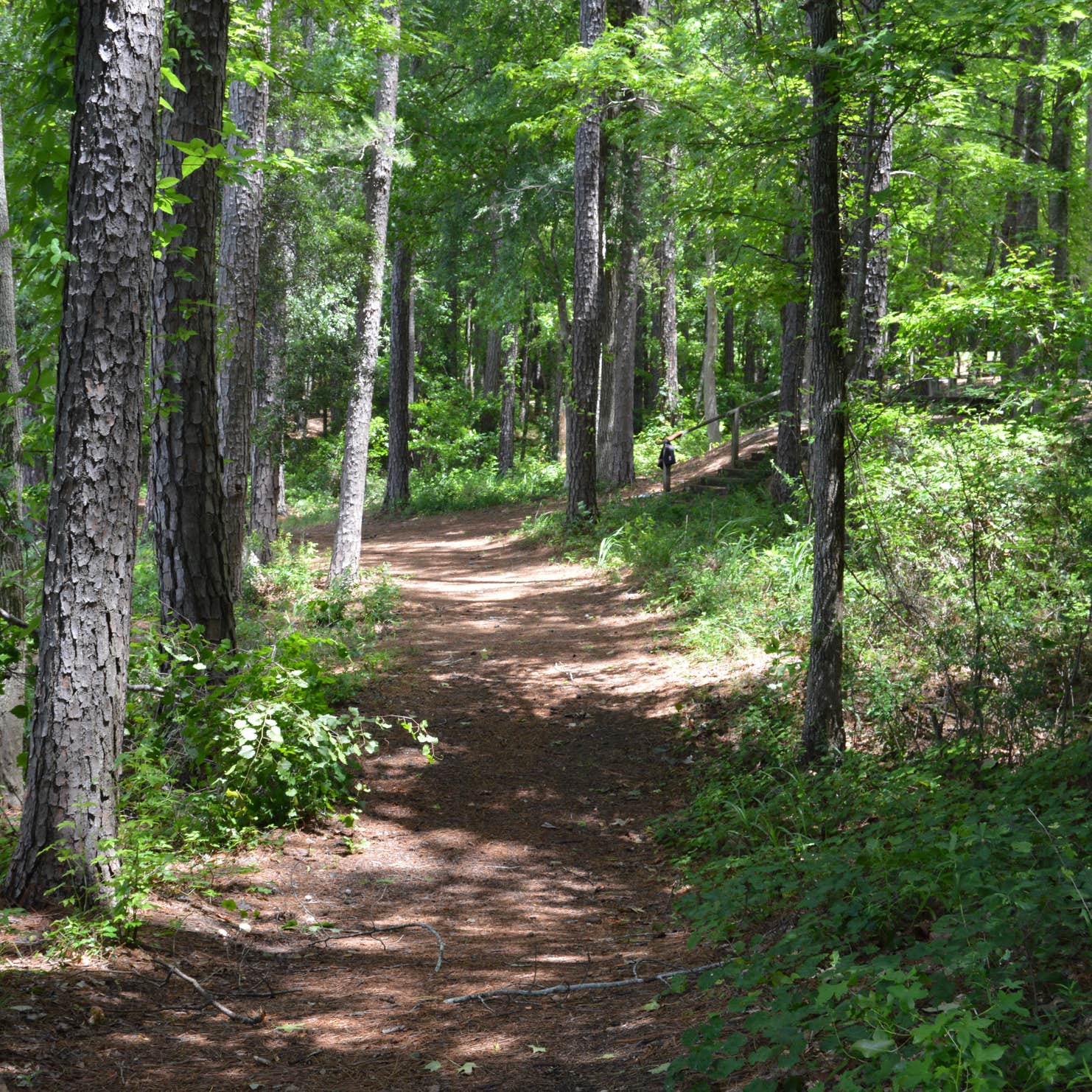 Whitetail Ridge Campground Camping The Dyrt