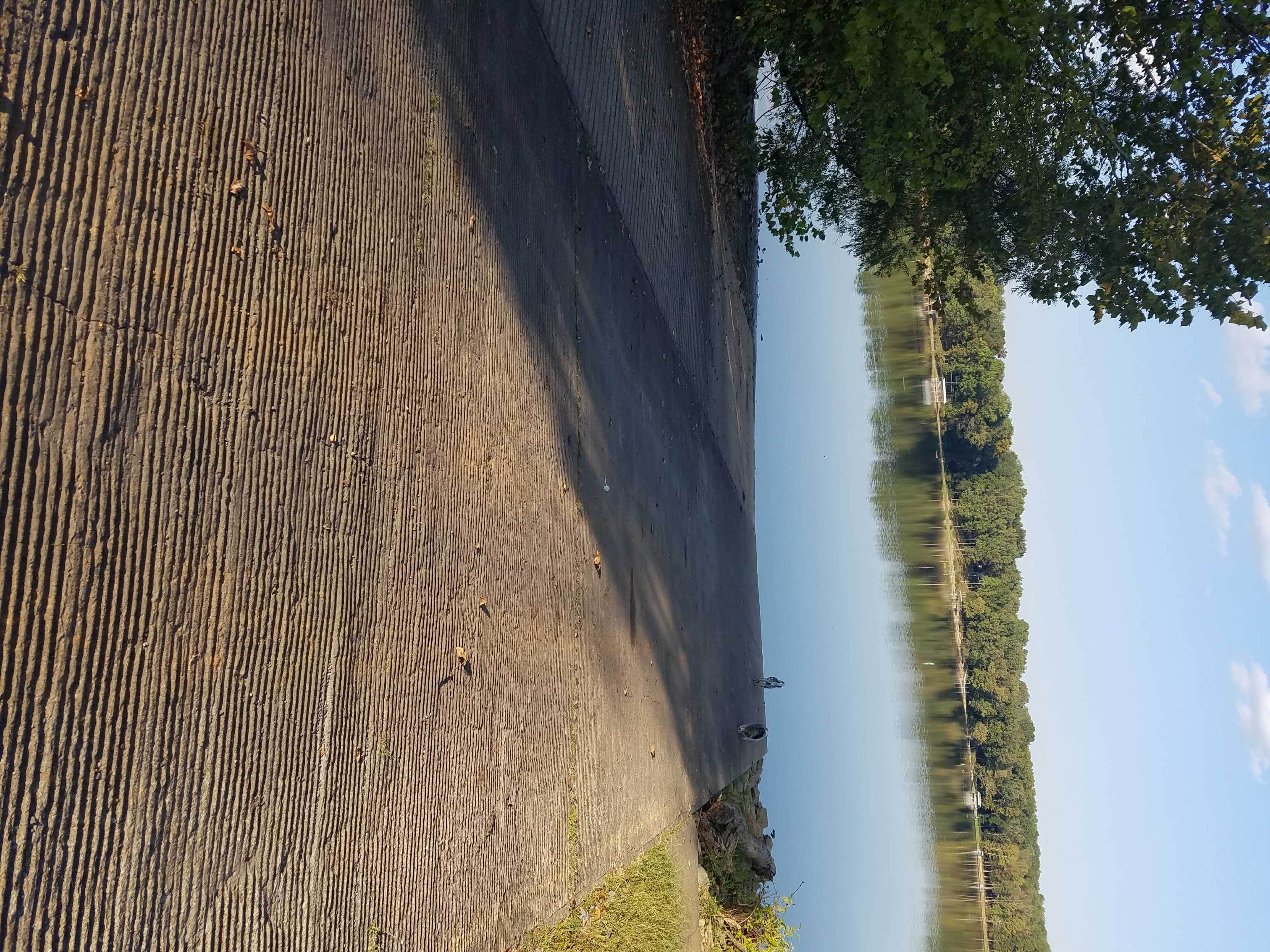 Camper-submitted photo at Meschan Bridge Ramp near Hopkinsville, KY