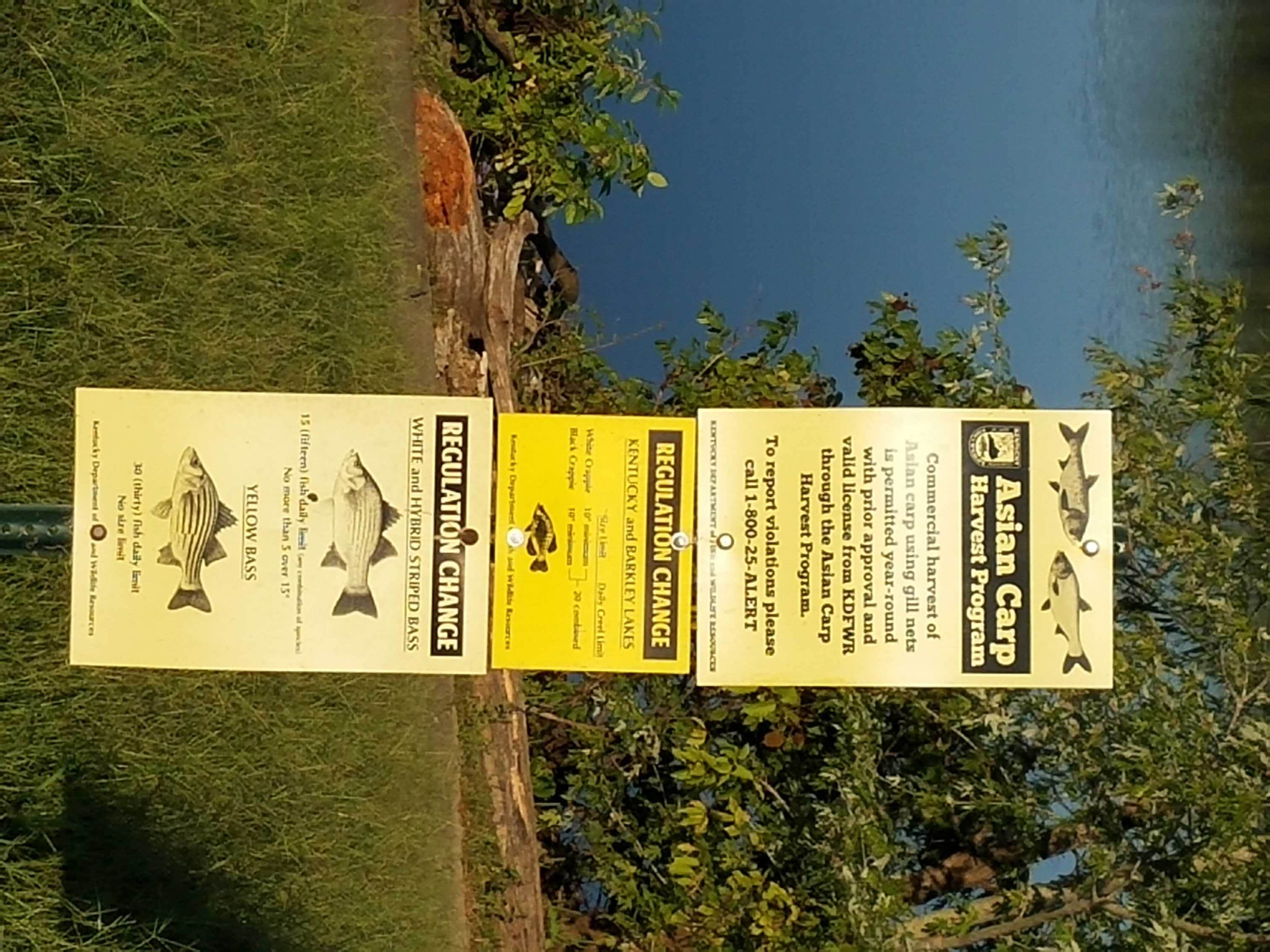 Camper-submitted photo at Meschan Bridge Ramp near Hopkinsville, KY