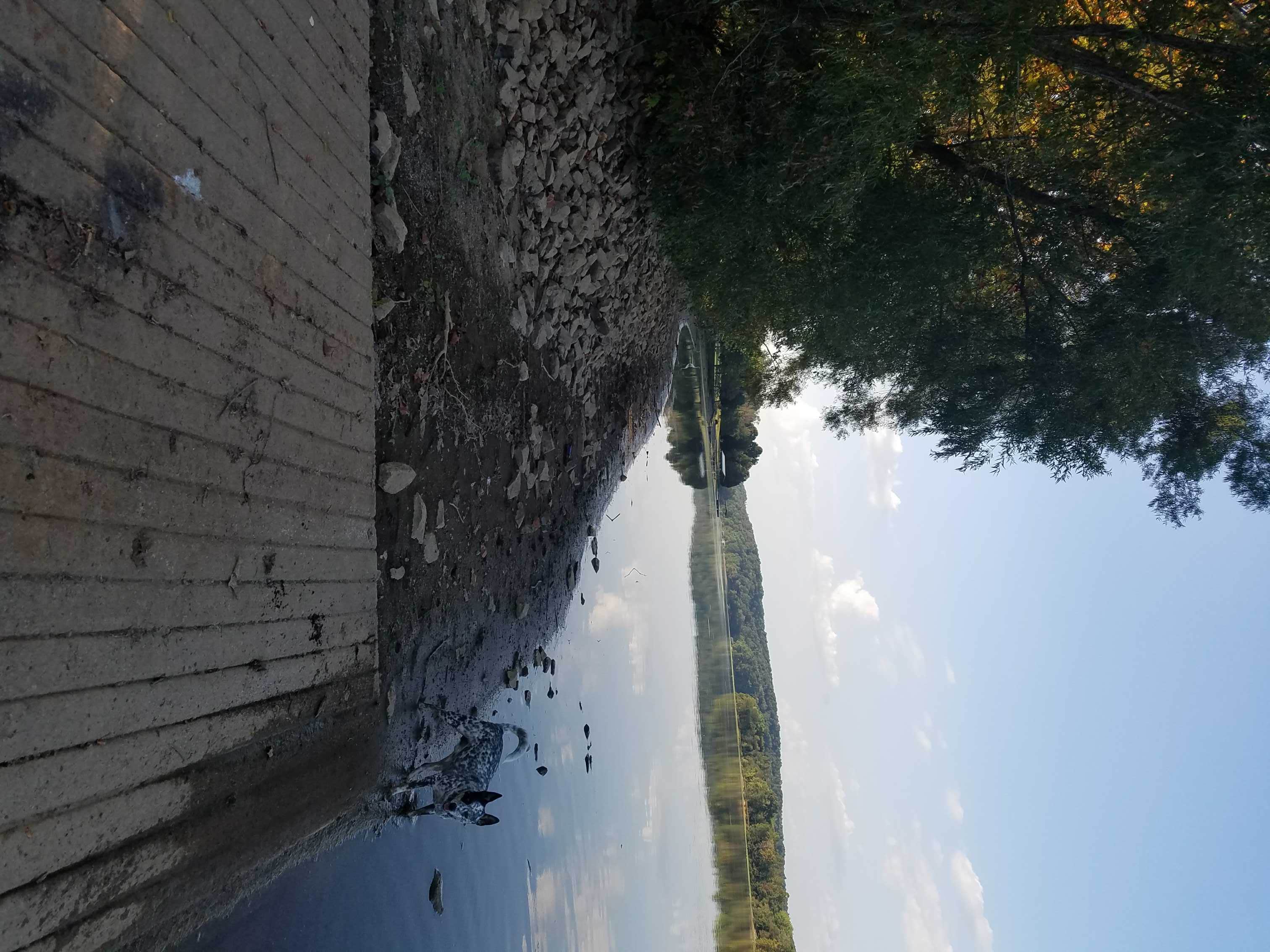 Camper submitted image from Meschan Bridge Ramp - 3
