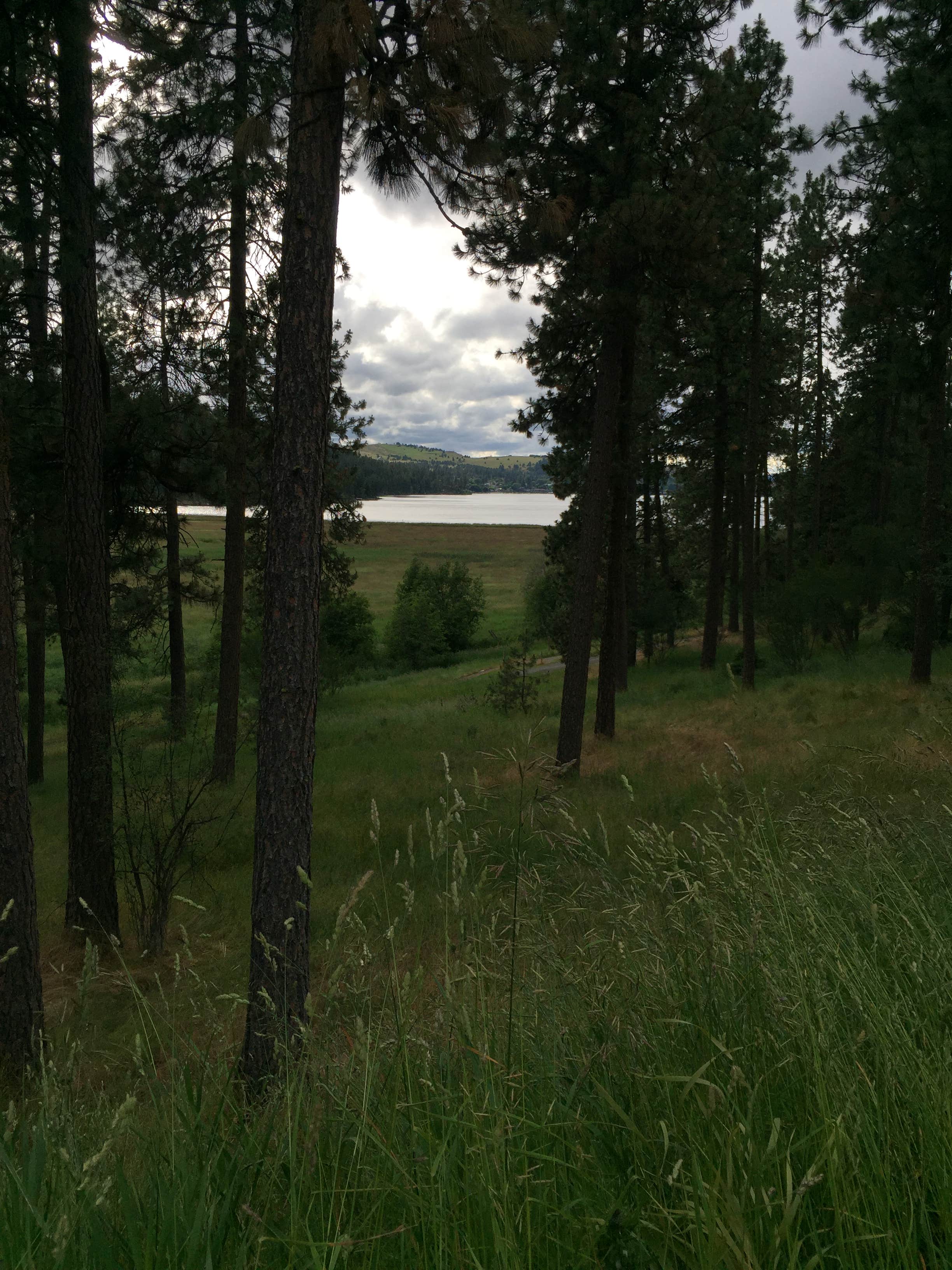Camper submitted image from Liberty Lake Regional Park - 2