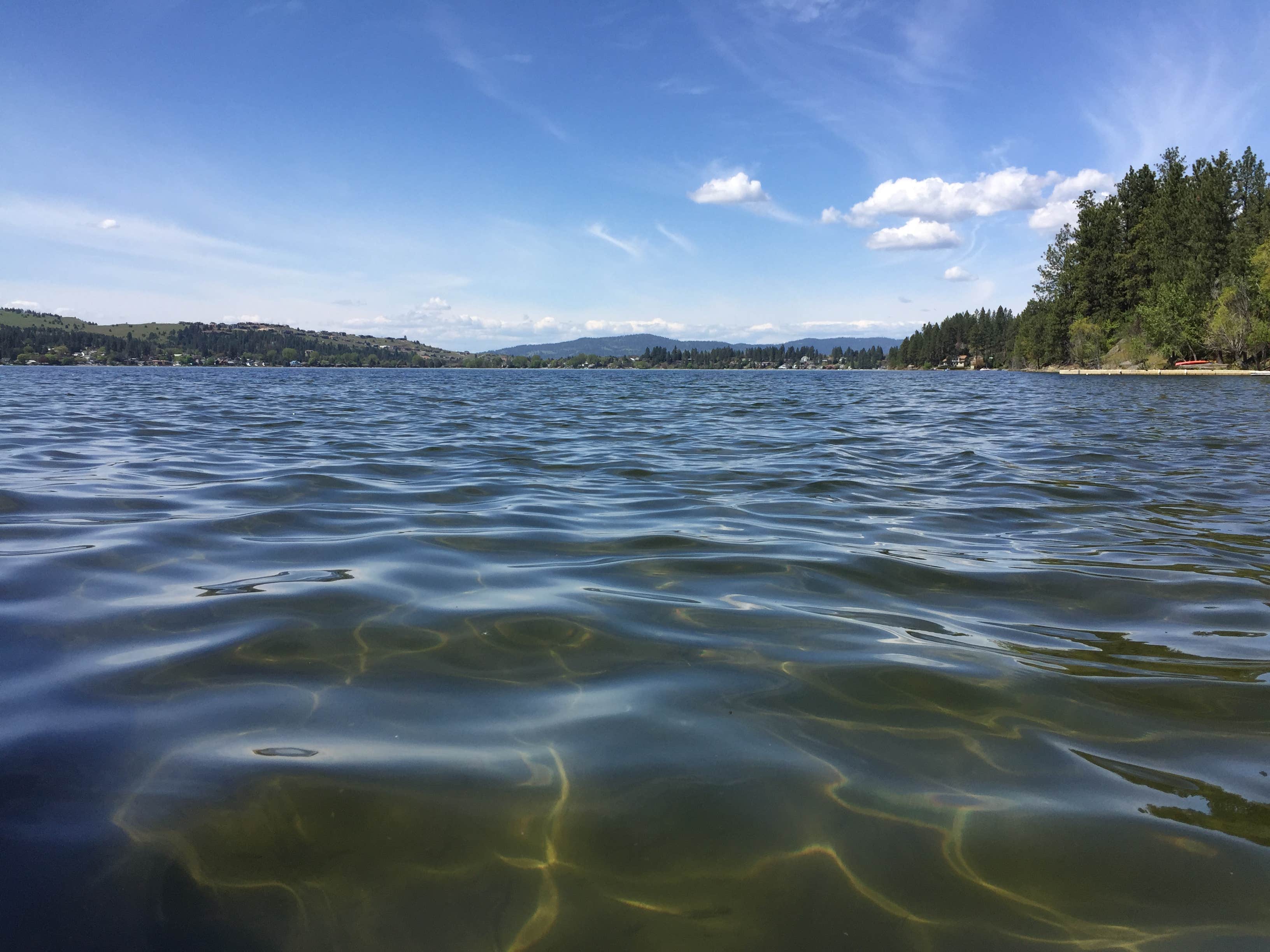 Liberty Lake Regional Park The Dyrt