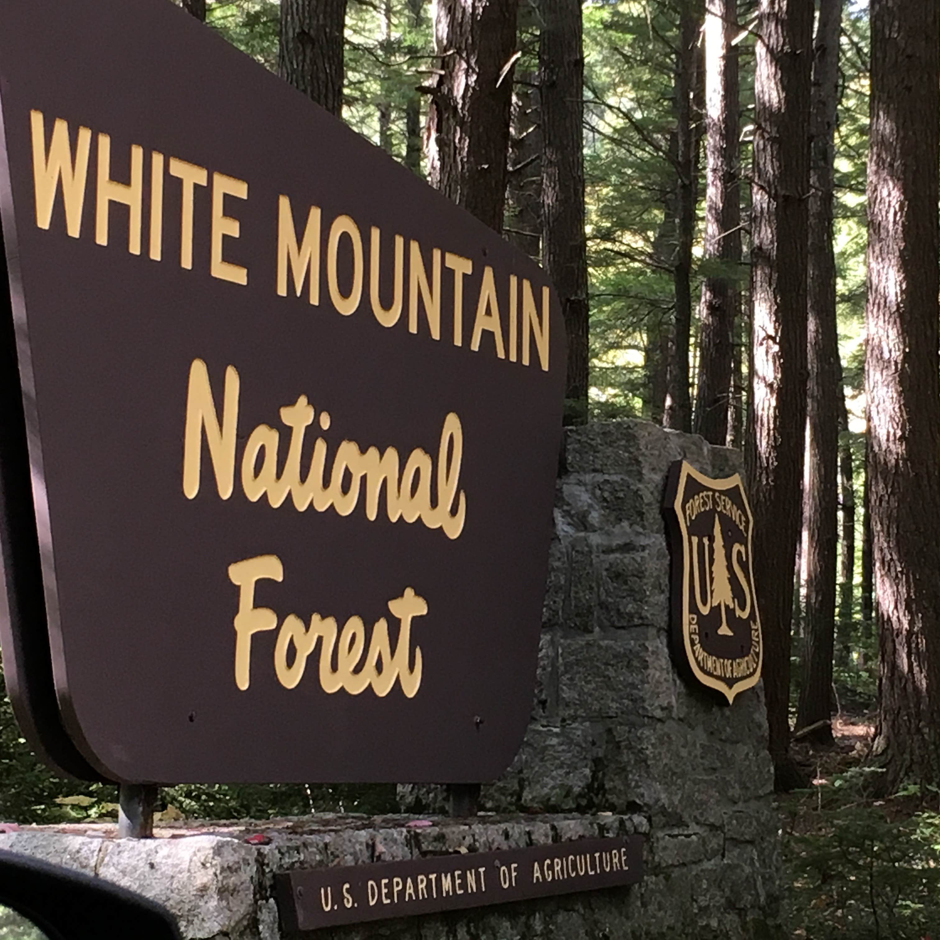 Wild River Campground Camping The Dyrt