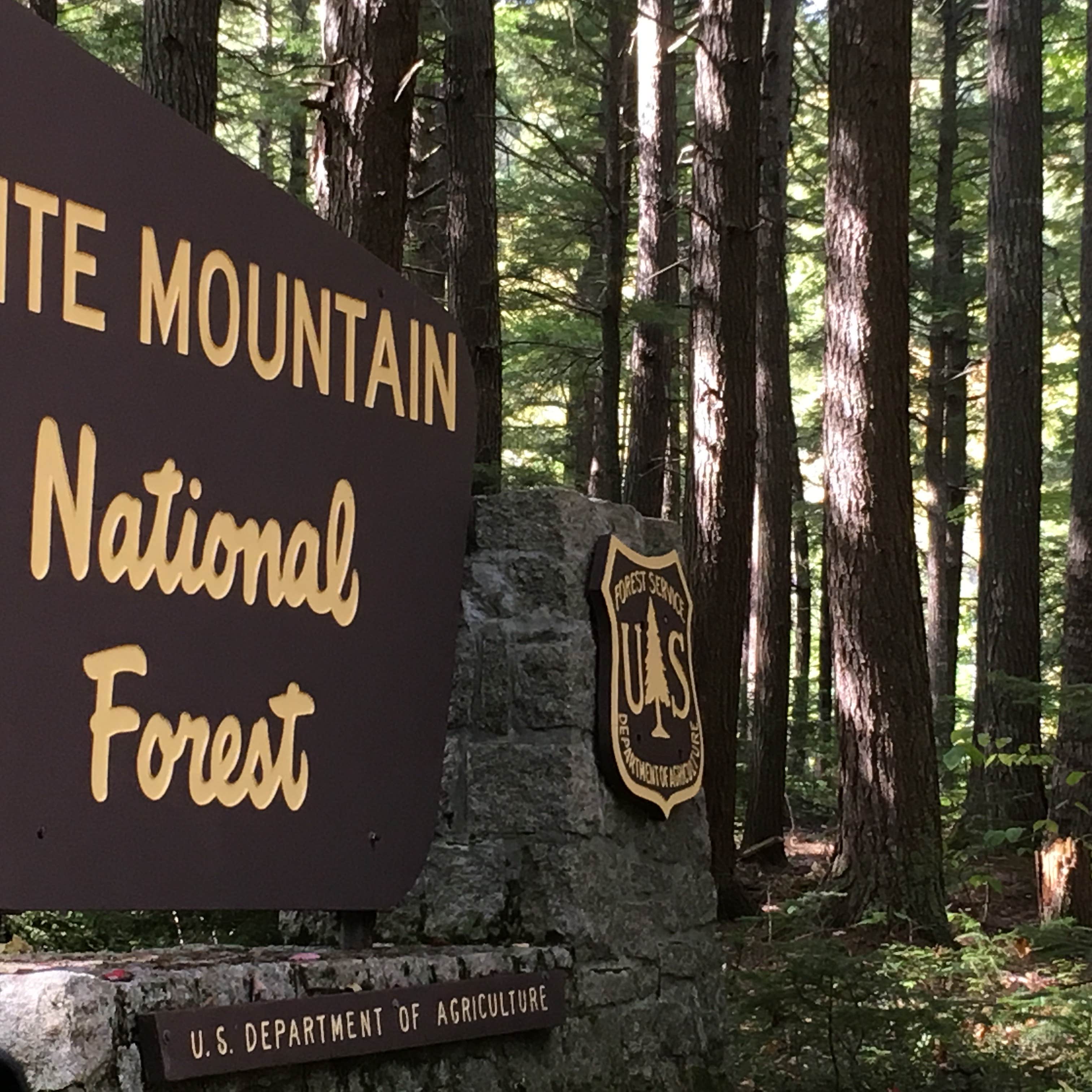 Escape To Nature’s Embrace: Your Guide To New Hampshire’s Wild River Campground