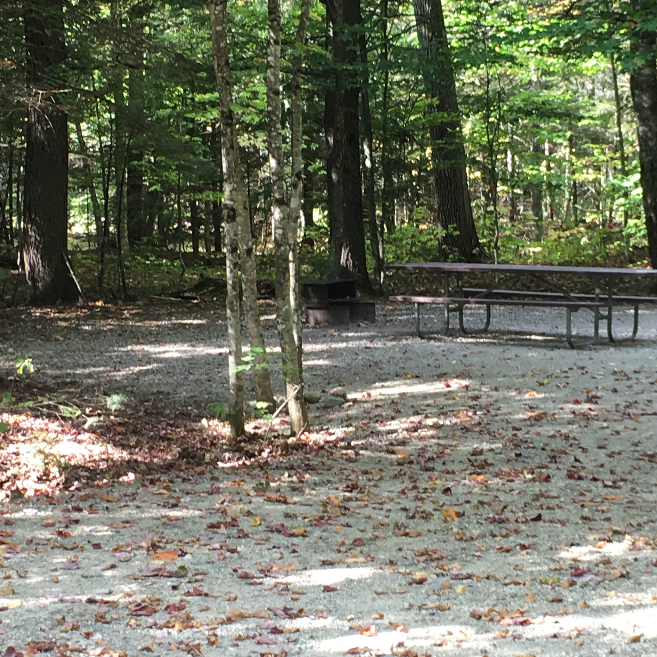 Wild River Campground Camping The Dyrt