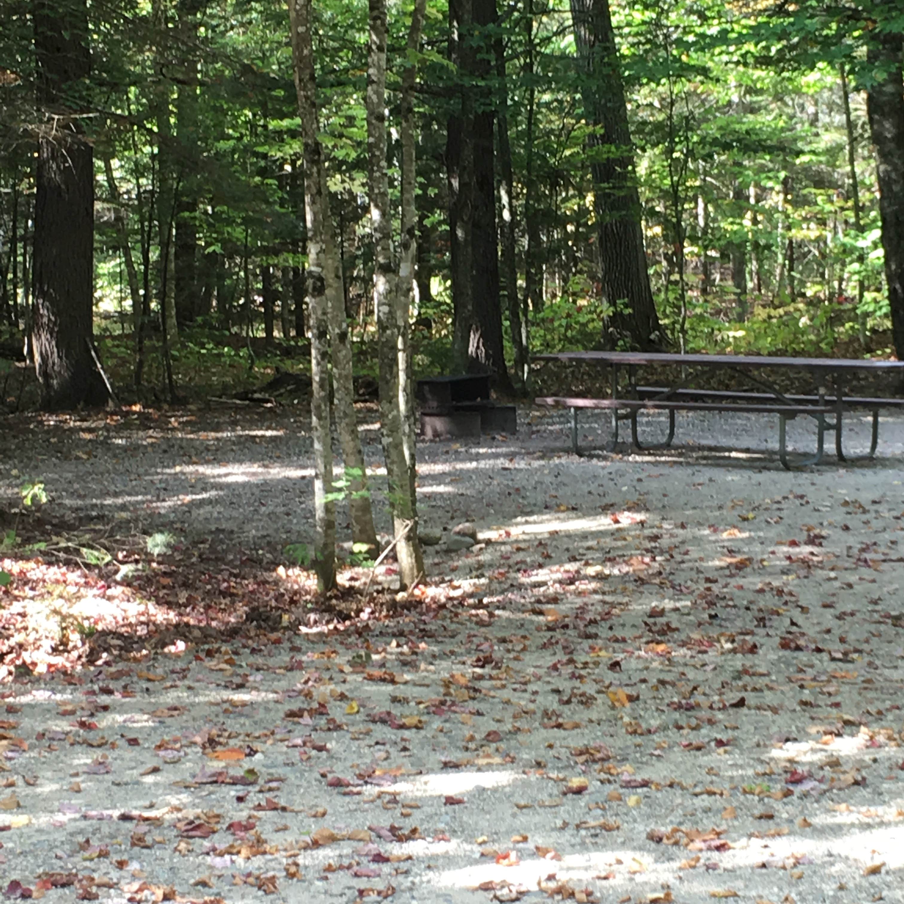Escape to Nature's Embrace: Your Guide to New Hampshire's Wild River Campground