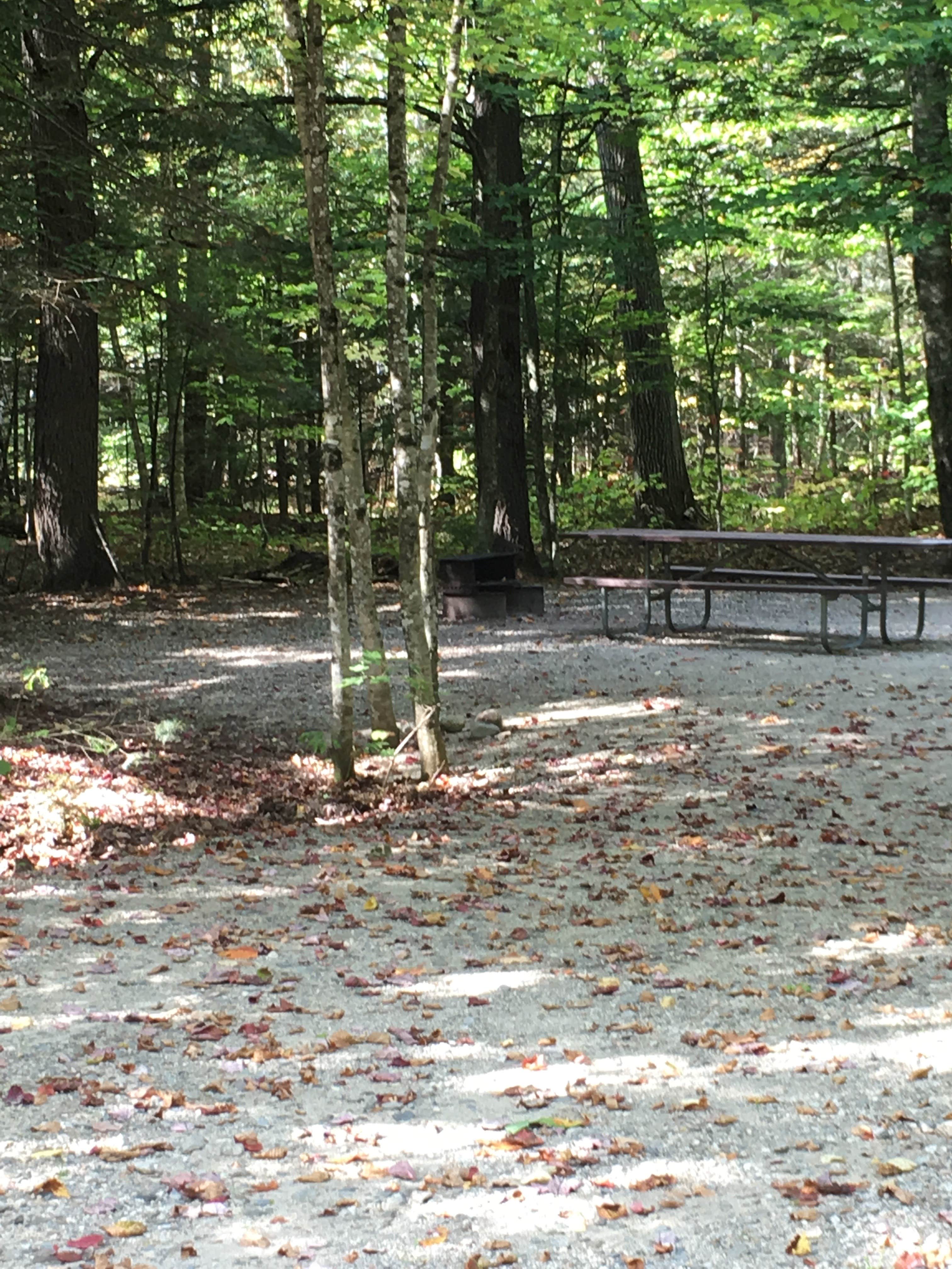 Camper submitted image from Wild River Campground - 5