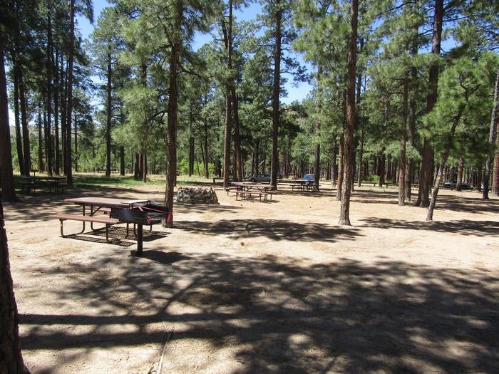 Camper submitted image from Ponderosa Group Campground — Bandelier National Monument - 5