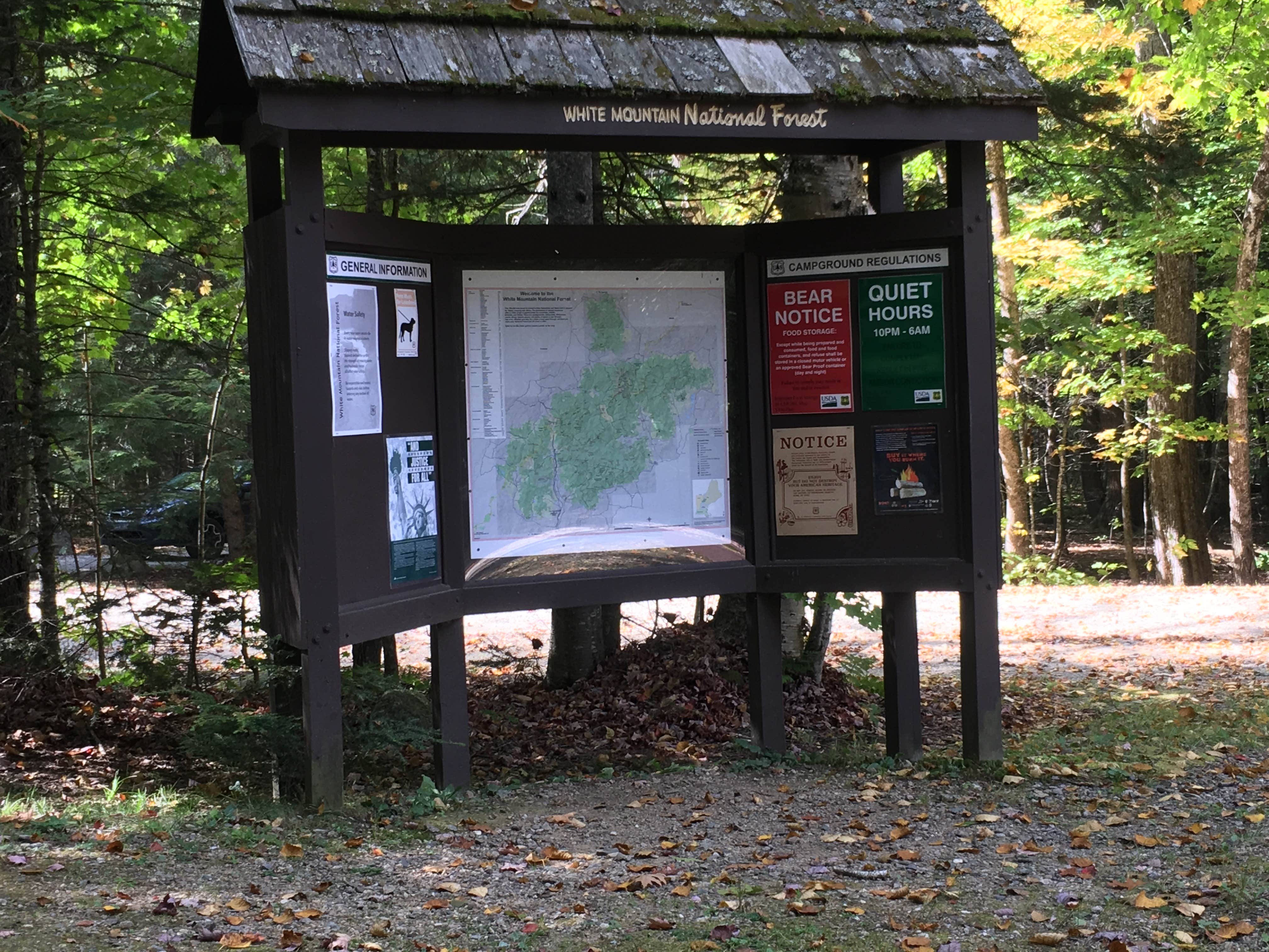 Camper submitted image from Wild River Campground - 4