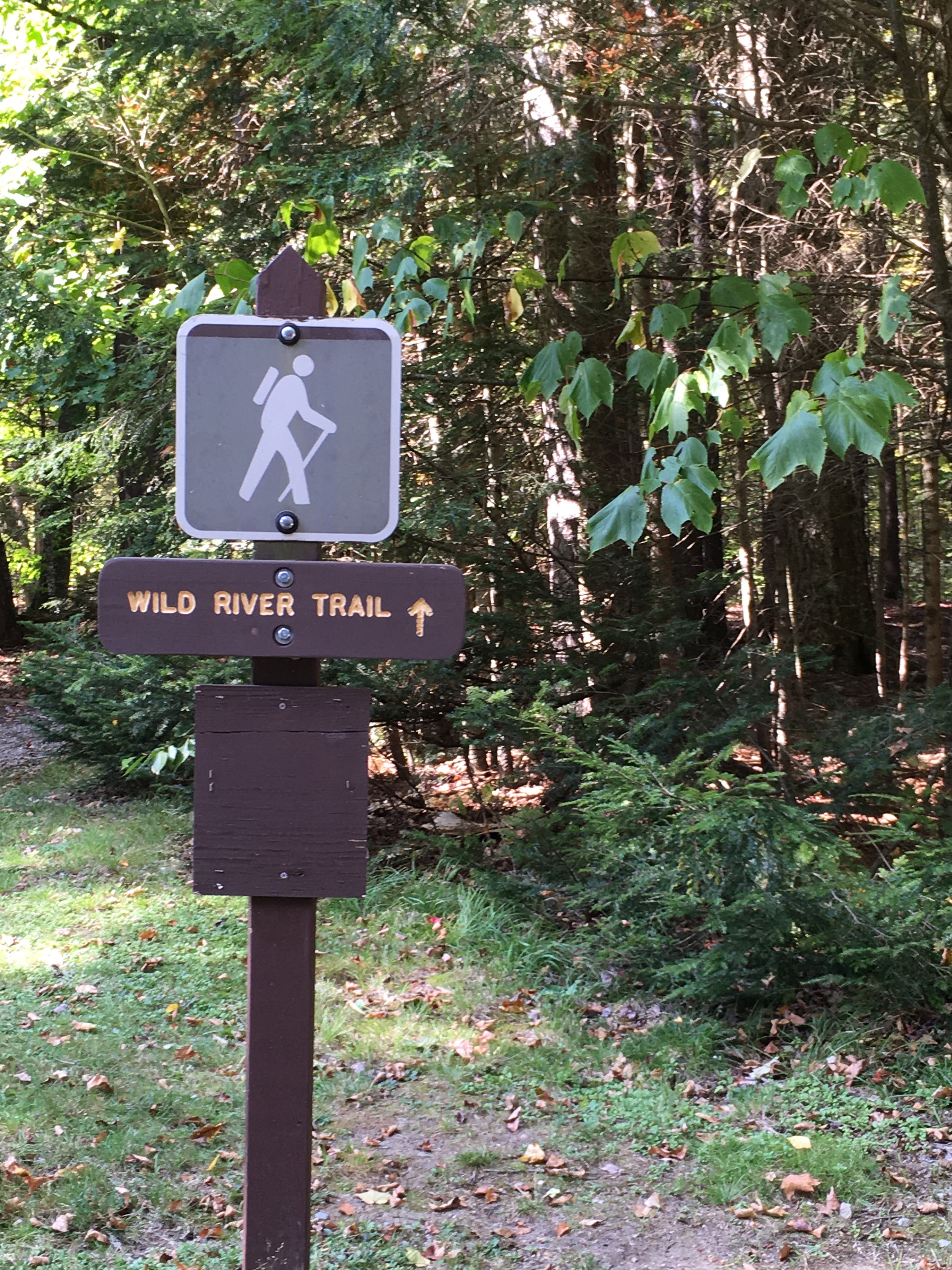 Hiking trails right from the campground