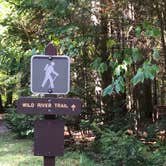 Review photo of Wild River Campground by Sarah C., September 27, 2017
