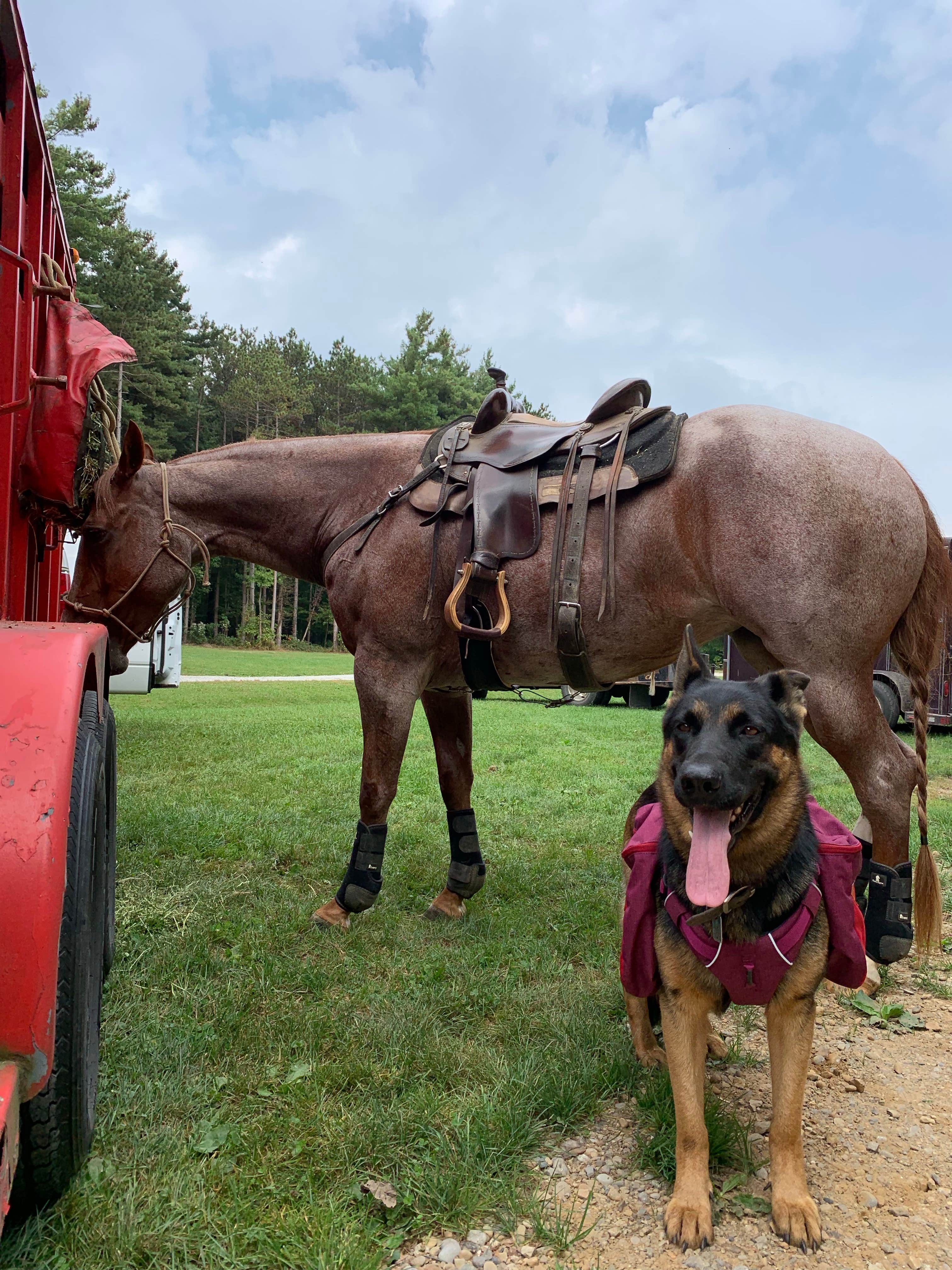 Kayla S.'s photo of camping with a horse at Mohican State Park Campground near Zanesville, OH