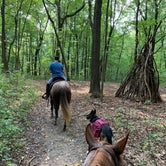 Review photo of Mohican State Park Campground by Kayla S., May 16, 2020
