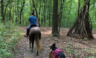 Kayla S.'s photo of camping with pets at Mohican State Park Campground near Glenmont, OH