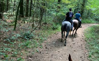 Kayla S.'s photo of camping with a horse at Mohican State Park Campground near Medina, OH