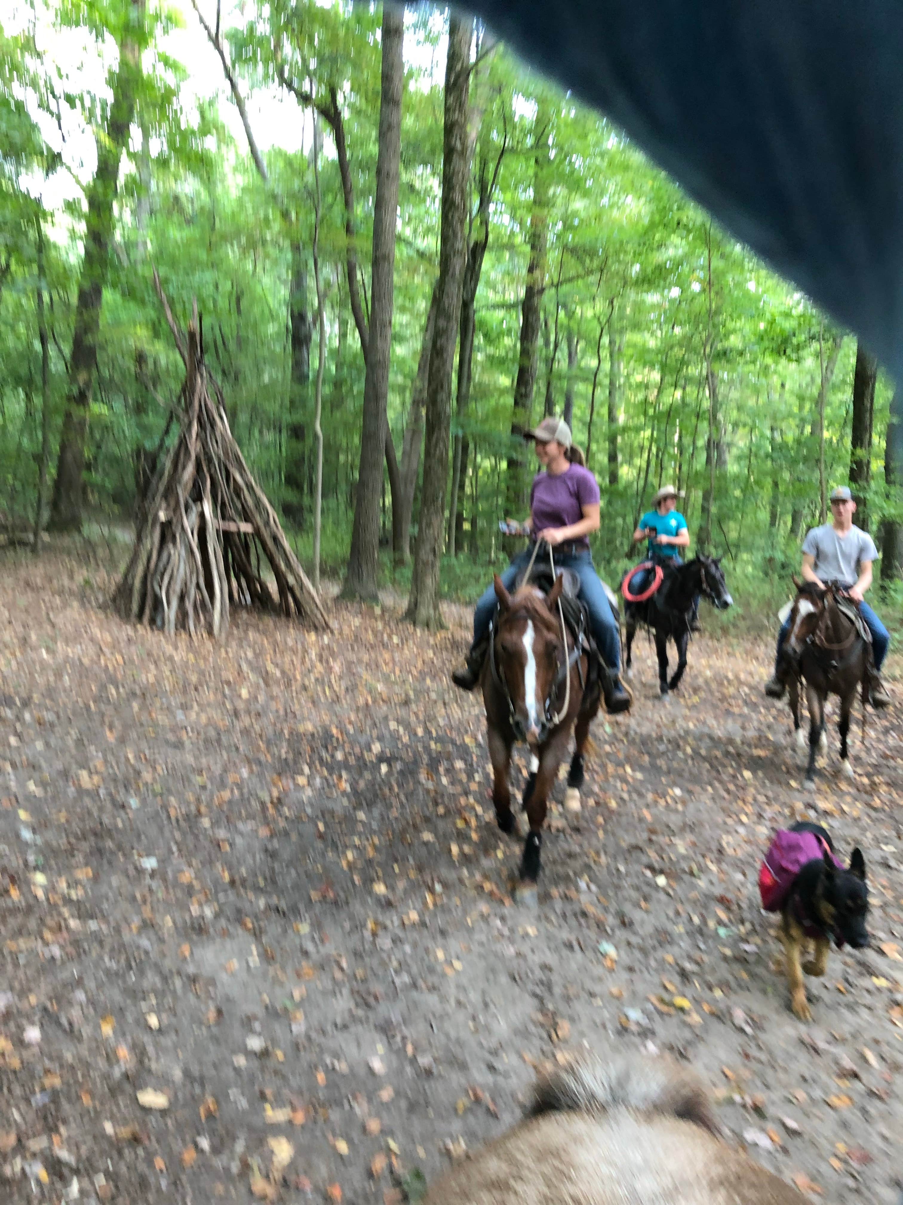 Kayla S.'s photo of camping with a horse at Mohican State Park Campground near Massillon, OH