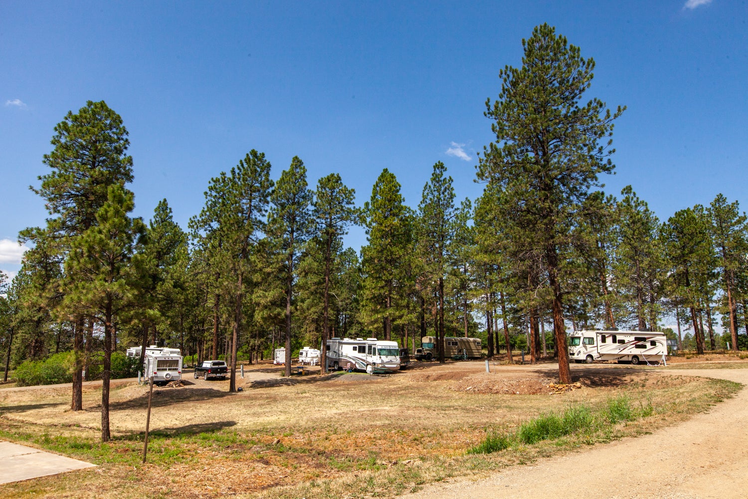 spacious RV sites situated in the trees