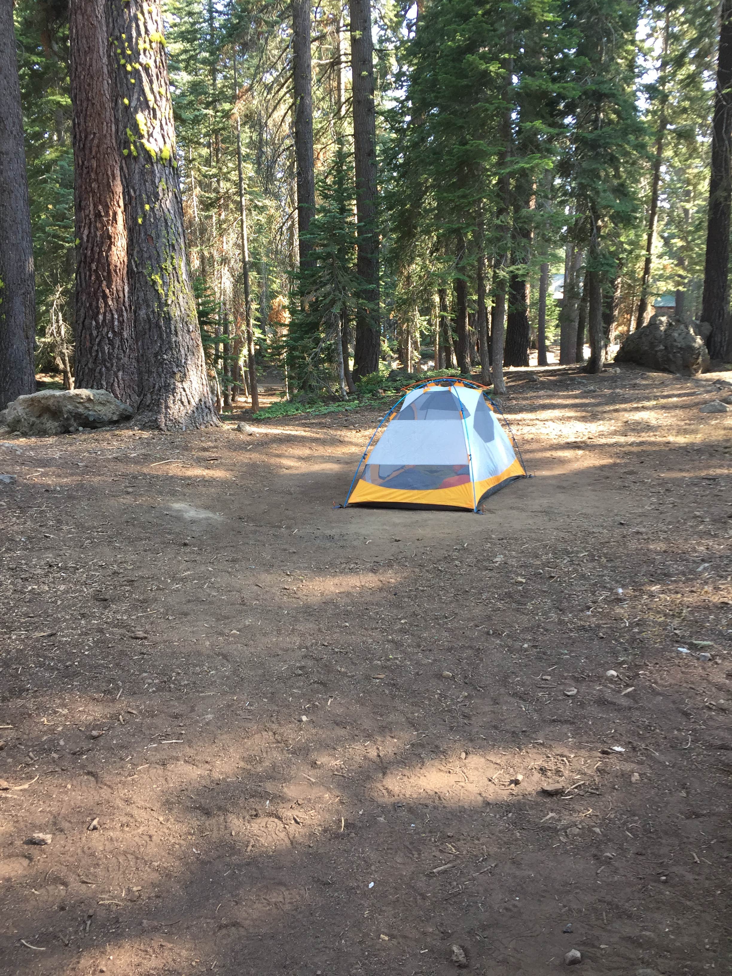 Amanda D.'s photo at Silver Lake East- Eldorado near Wellington, NV