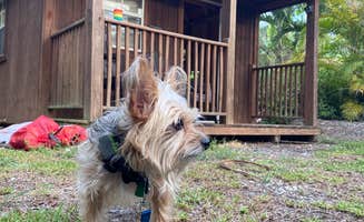Alyssa D.'s photo of camping with pets at Trail Lakes Campground near Marco Island, FL