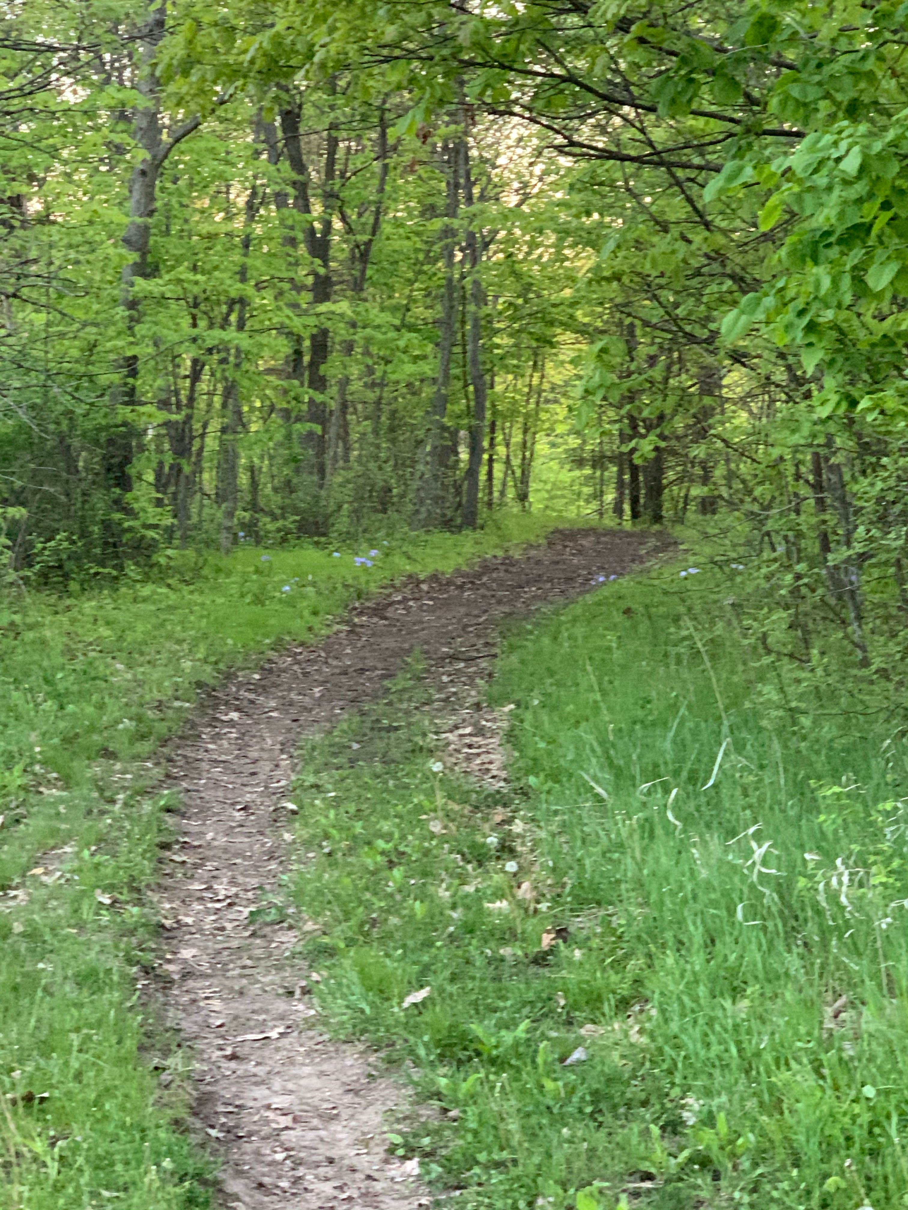 Camper submitted image from South Equestrian Campground — Brushy Creek State Recreation Area - 3