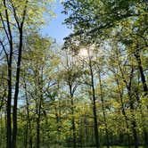 Review photo of South Equestrian Campground — Brushy Creek State Recreation Area by Andrea H., May 15, 2020