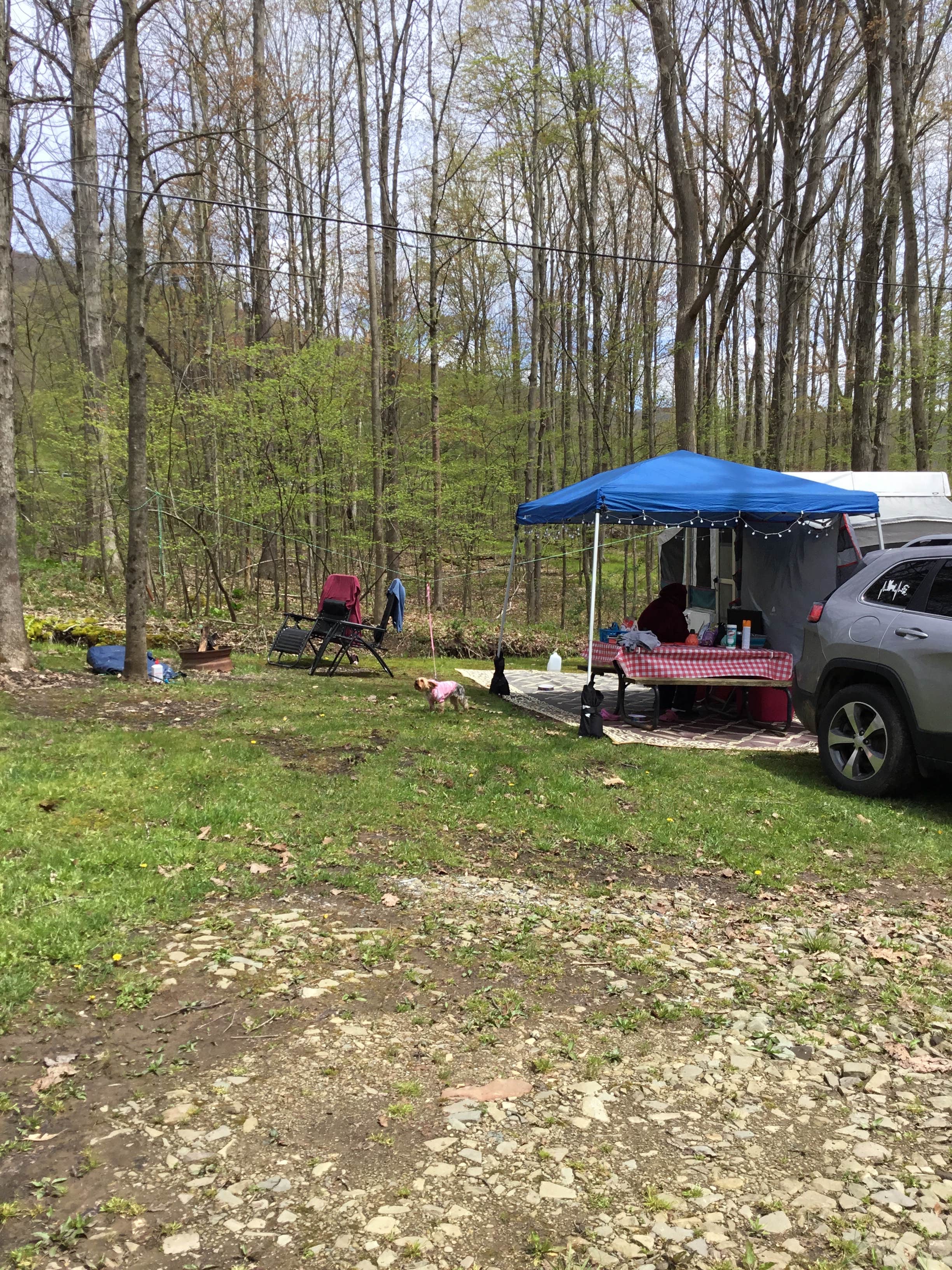 Kelly J.'s photo at Snyder's Family Campground near Wellsville, NY