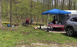 Kelly J.'s photo at Snyder's Family Campground near Lawrenceville, PA