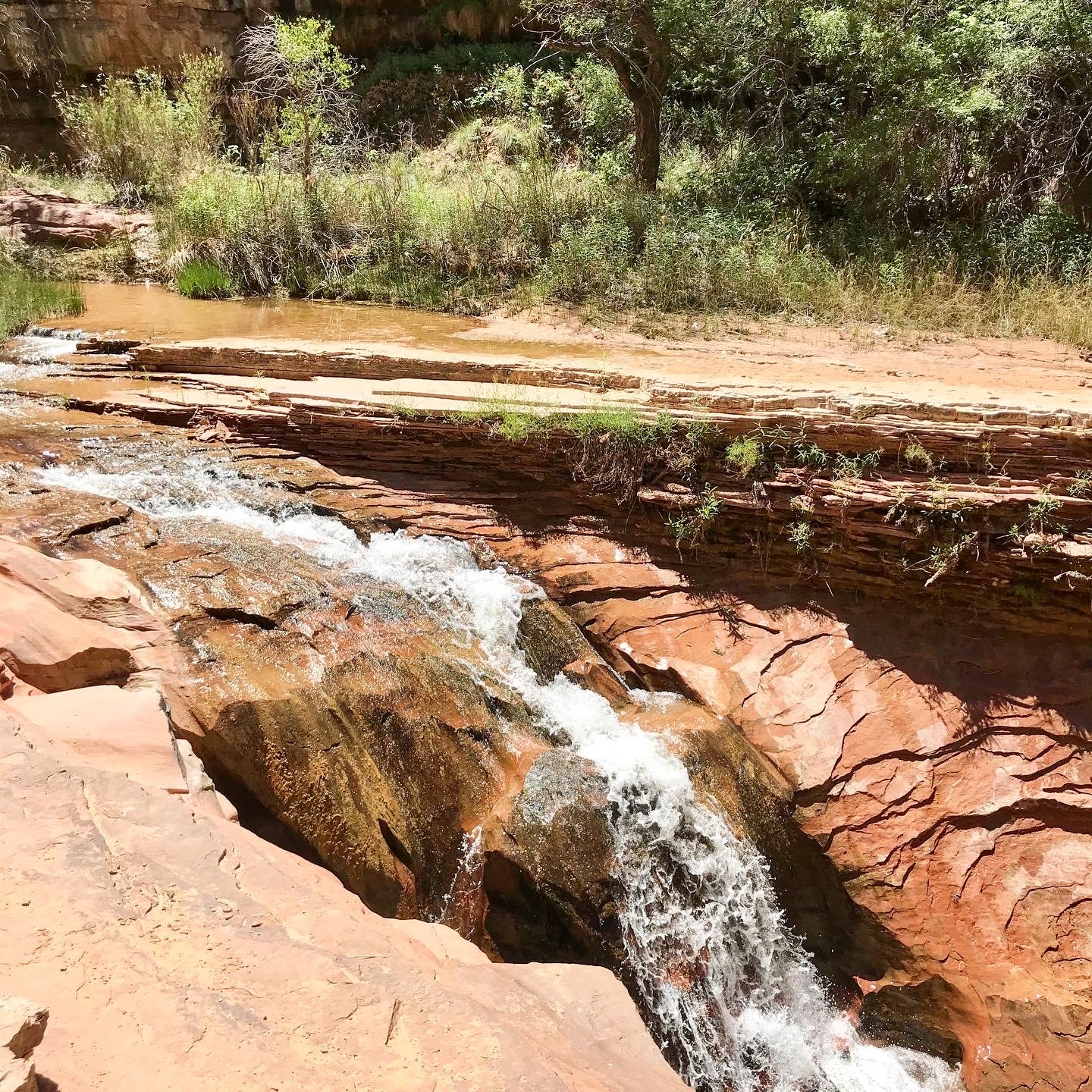 Camper submitted image from Coyote Gulch — Glen Canyon National Recreation Area - 2