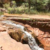 Review photo of Coyote Gulch — Glen Canyon National Recreation Area by Carrie C., May 16, 2020