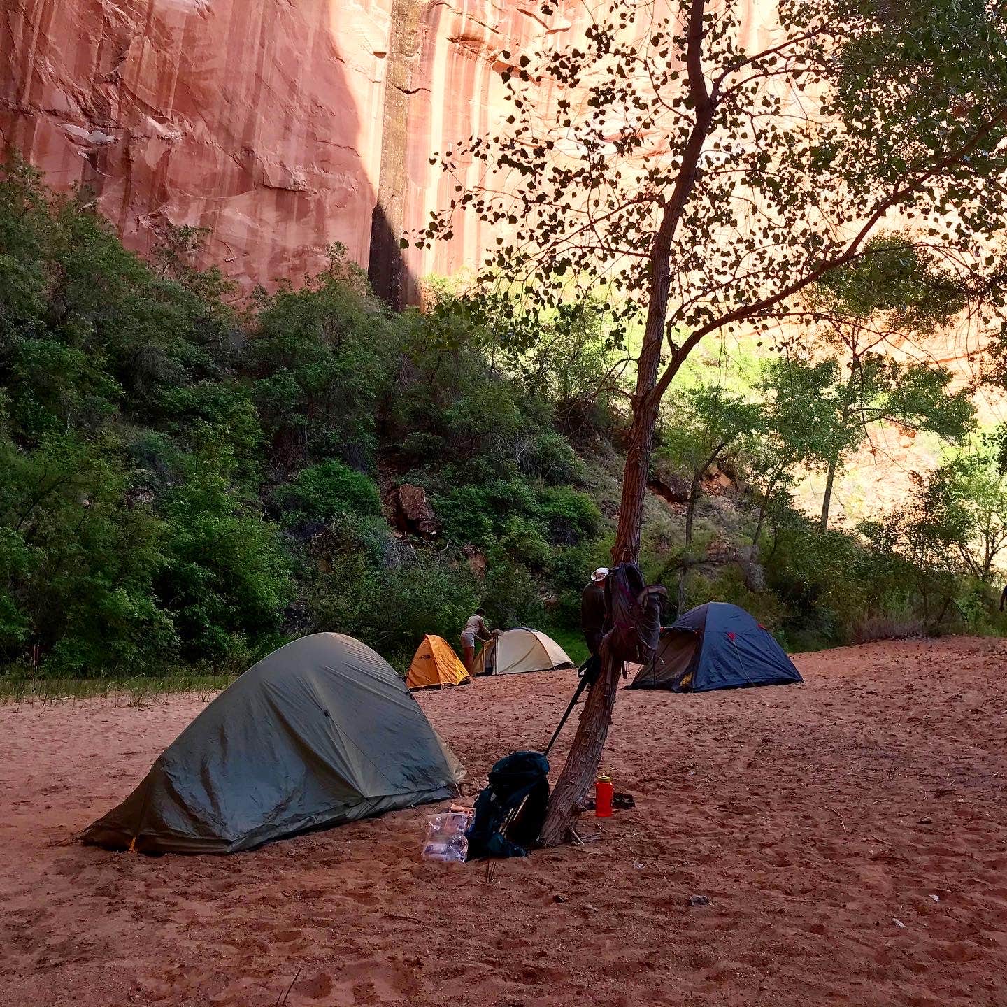 Camper submitted image from Coyote Gulch — Glen Canyon National Recreation Area - 3