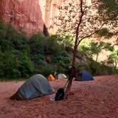 Review photo of Coyote Gulch — Glen Canyon National Recreation Area by Carrie C., May 16, 2020