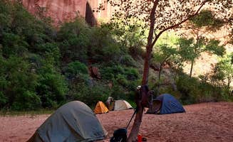 Carrie C.'s photo at Coyote Gulch — Glen Canyon National Recreation Area near Glen Canyon National Recreation Area