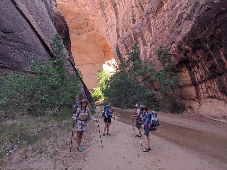 Camper submitted image from Coyote Gulch — Glen Canyon National Recreation Area - 5