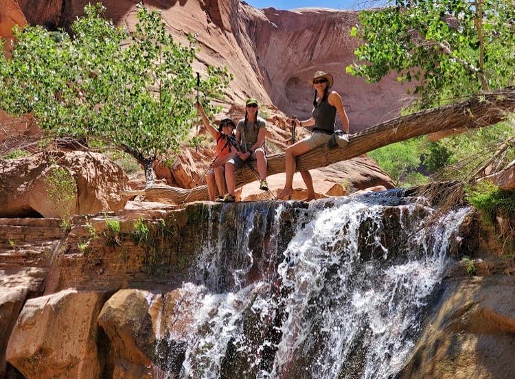 Camper submitted image from Coyote Gulch — Glen Canyon National Recreation Area - 3