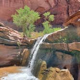 Review photo of Coyote Gulch — Glen Canyon National Recreation Area by Carrie C., May 16, 2020