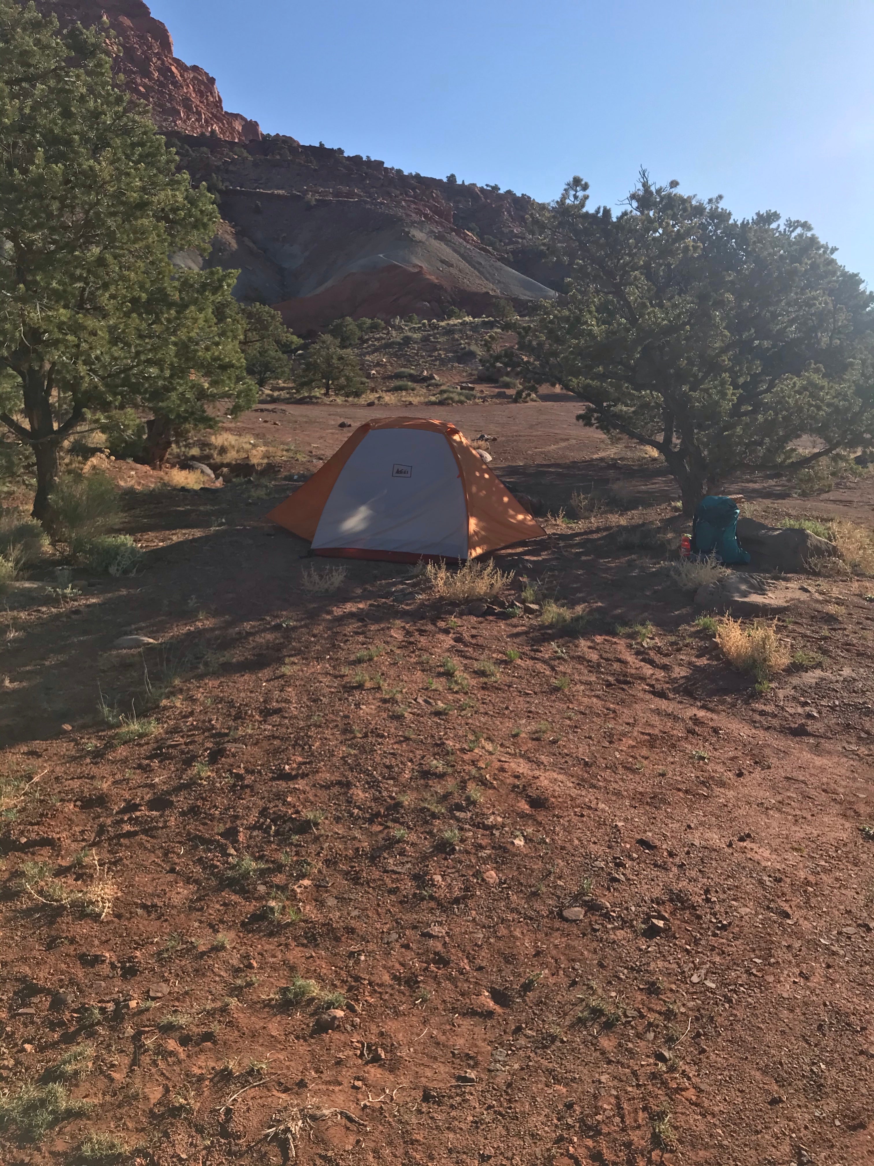 Camper submitted image from Capitol Reef National Park Dispersed Camping - 5