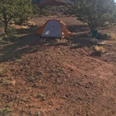 Review photo of Capitol Reef National Park Dispersed Camping by Carrie C., May 16, 2020