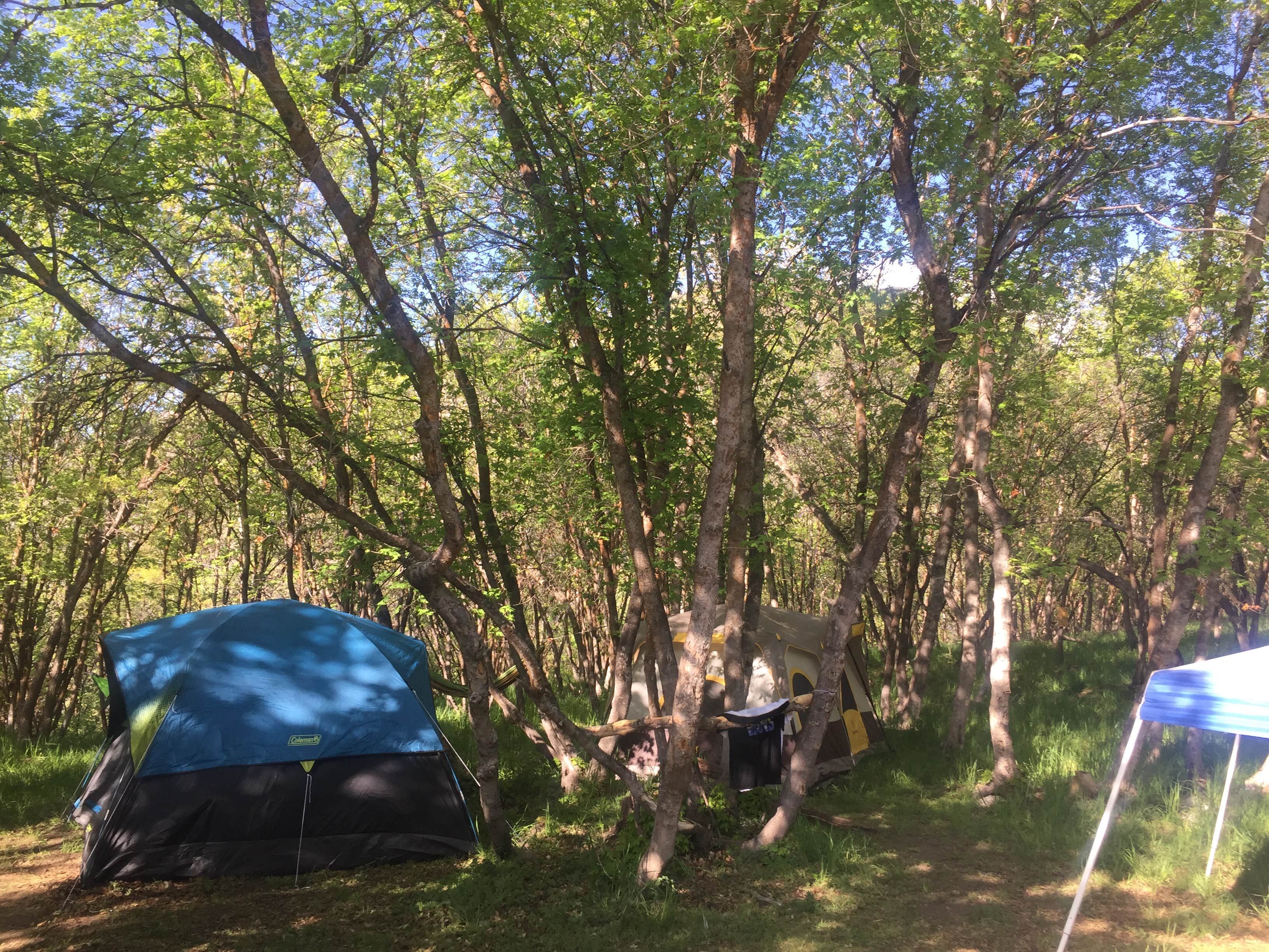 Jeremy W.'s photo at Maple Lake Campground near Nephi, UT
