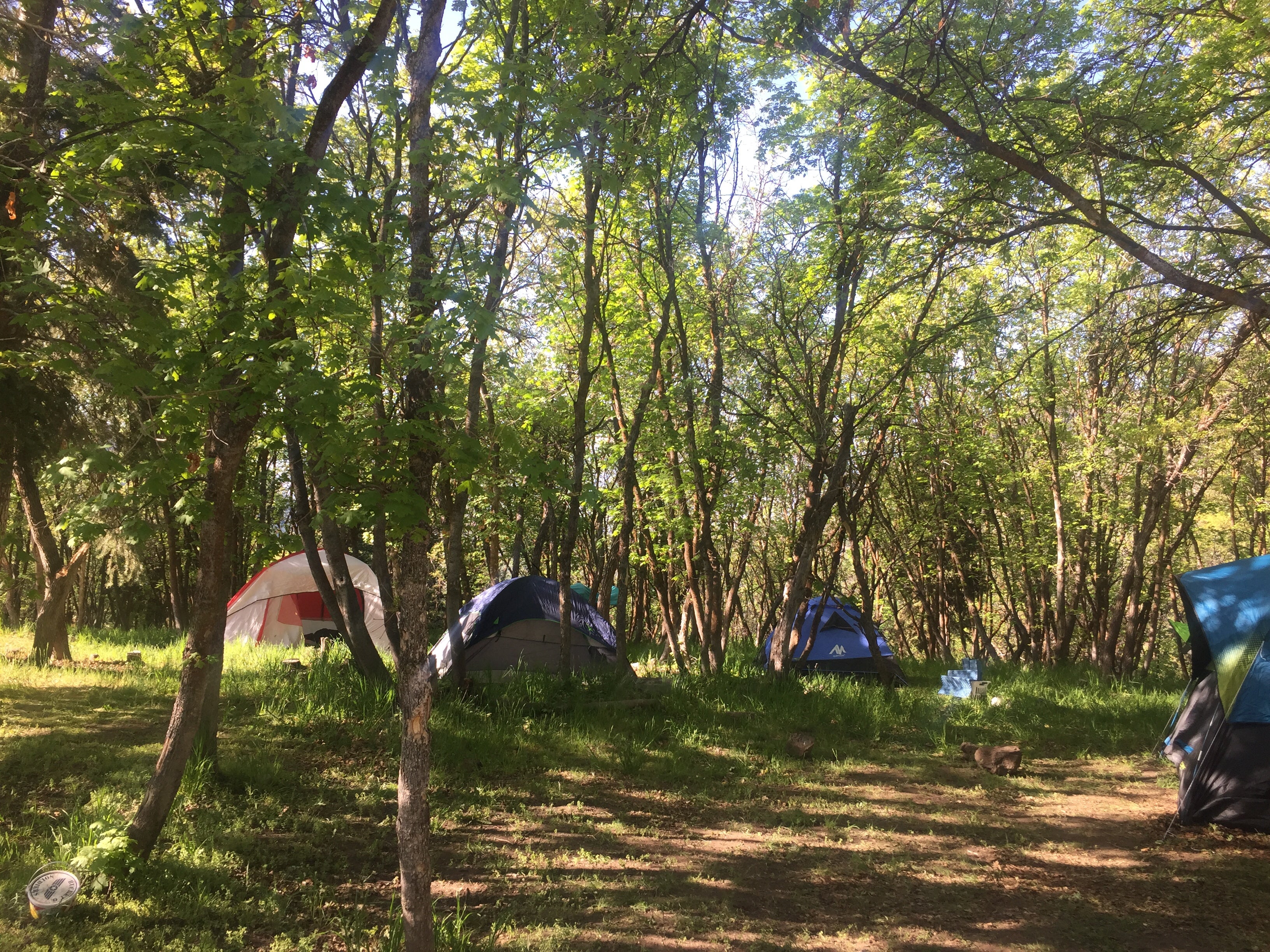 Camper submitted image from Maple Lake Campground - 2