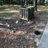 Review photo of Tugaloo State Park Campground by 5Dudes , May 17, 2020