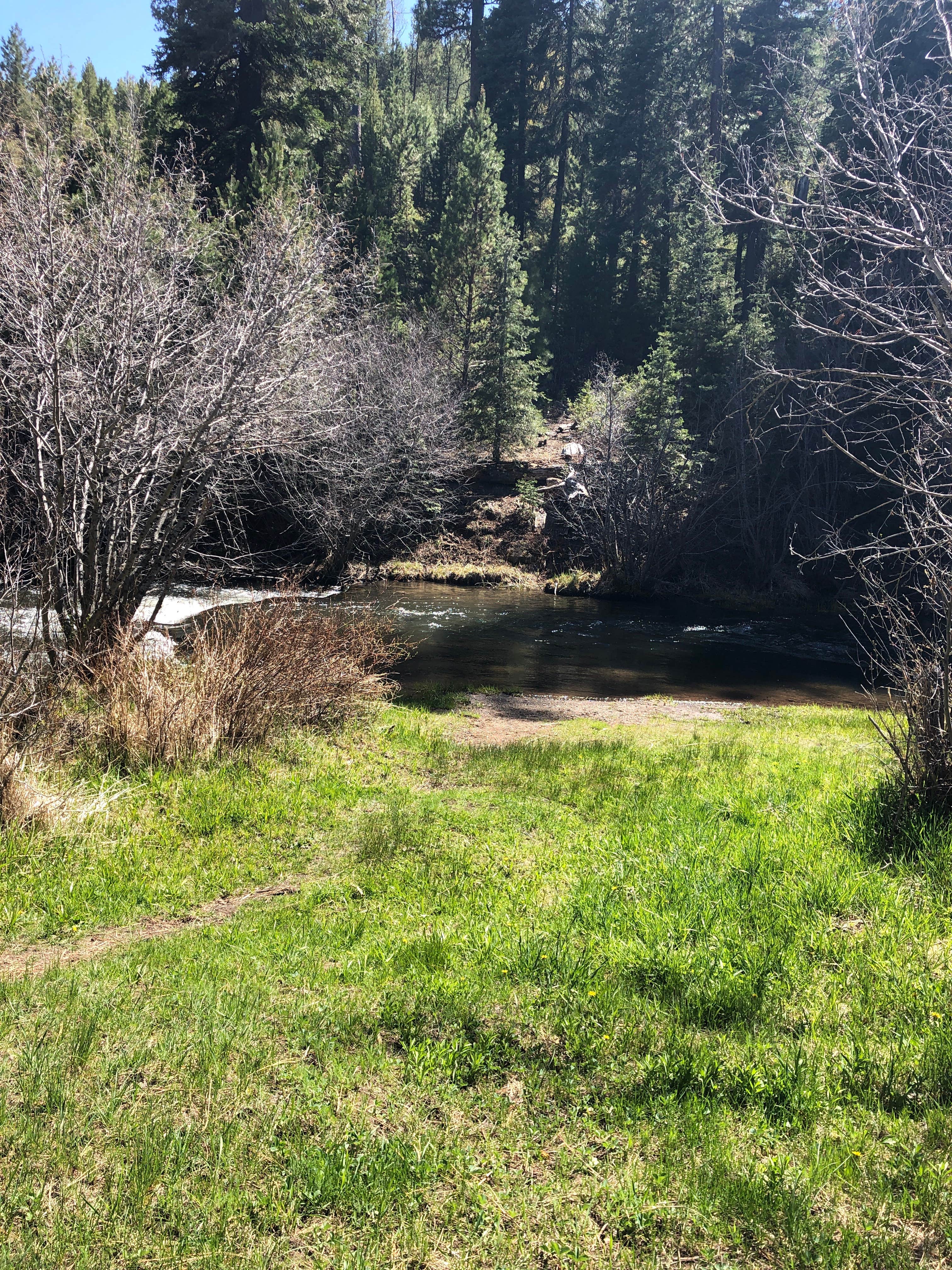 View All