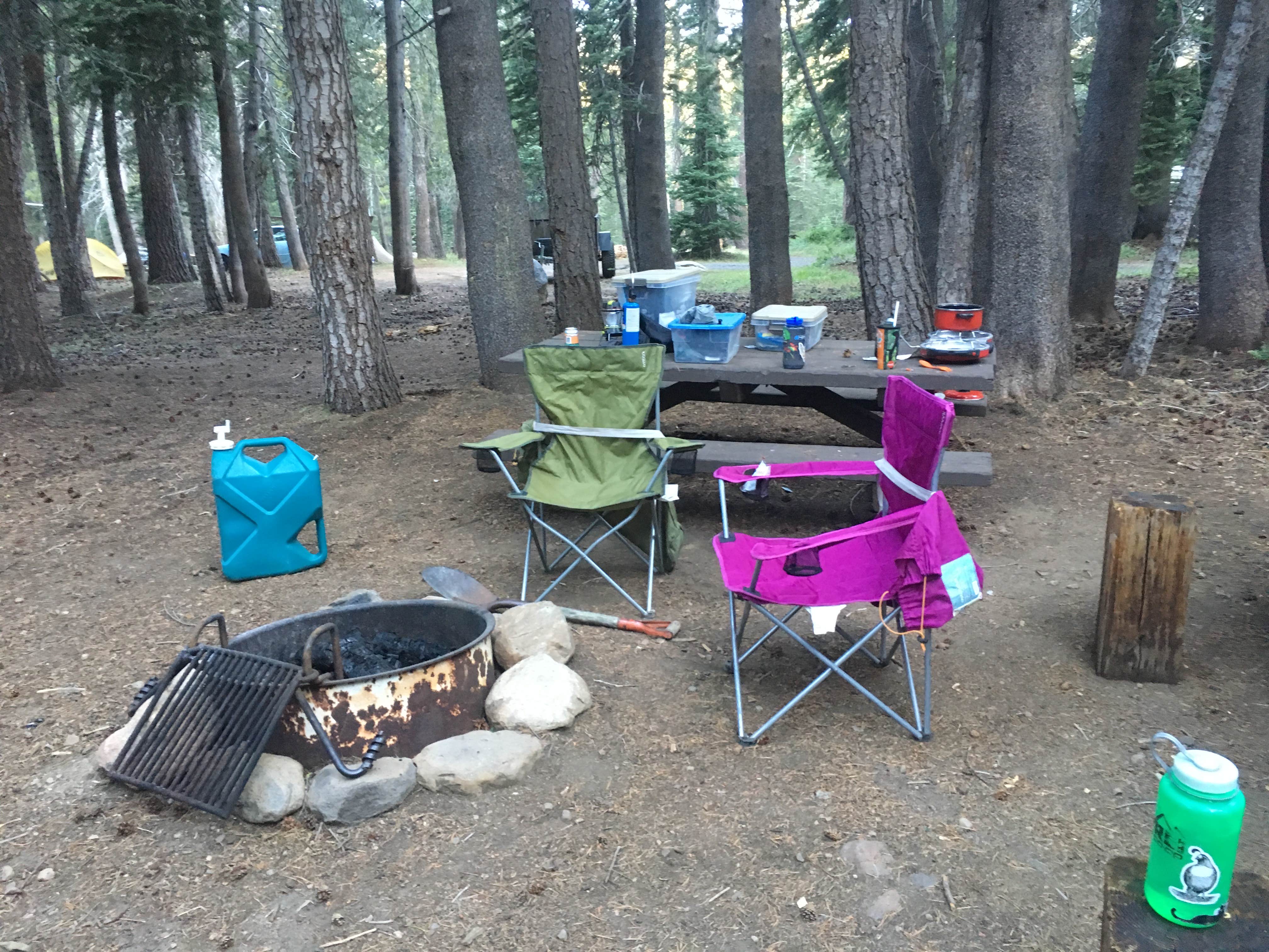 Amanda D.'s photo at Lodgepole Overflow & Group Campground near Bear Valley, CA